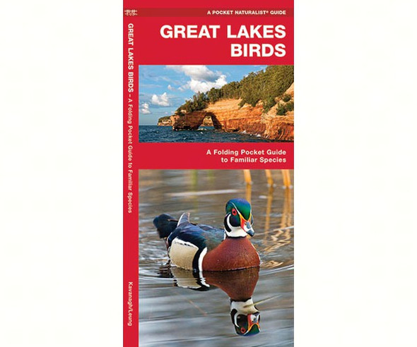 WATERFORD PRESS - Great Lakes Birds (Folding Pocket Guide) (WFP1583550922) 9781583550922