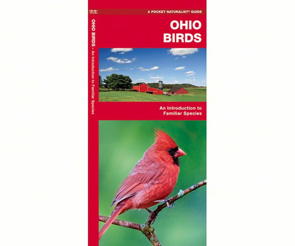 WATERFORD PRESS - Ohio Birds (Folding Pocket Guide) (WFP1583551042) 9781583551042