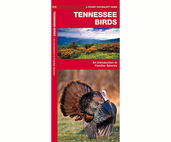 WATERFORD PRESS - Tennessee Birds (Folding Pocket Guide) (WFP1583551172) 9781583551172