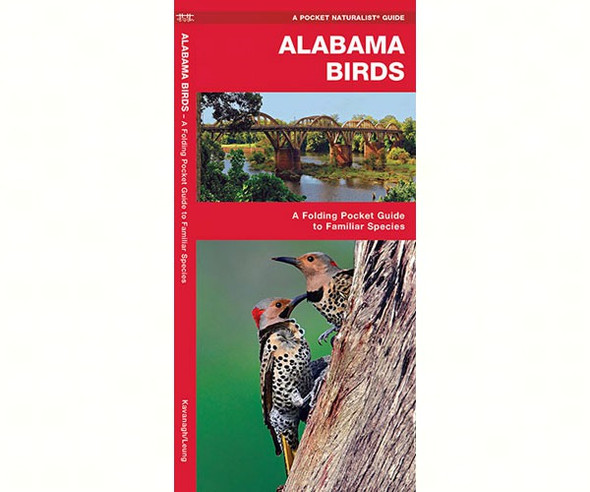WATERFORD PRESS - Alabama Birds (Folding Pocket Guide) (WFP1583551301) 9781583551301