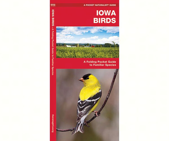 WATERFORD PRESS - Iowa Birds (Folding Pocket Guide) (WFP1583551462) 9781583551462