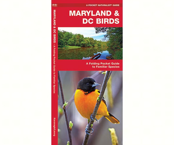 WATERFORD PRESS - Maryland and DC Birds (Folding Pocket Guide) (WFP1583551516) 9781583551516