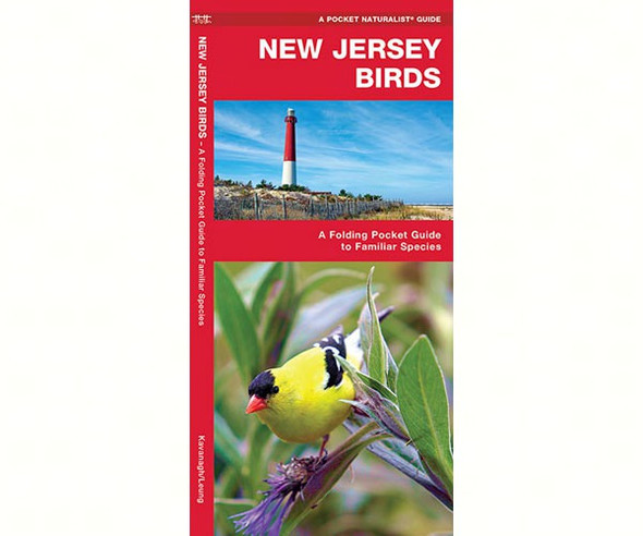 WATERFORD PRESS - New Jersey Birds (Folding Pocket Guide) (WFP1583551578) 9781583551578