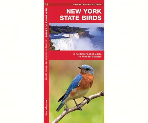 WATERFORD PRESS - New York State Birds (Folding Pocket Guide) (WFP1583551592) 9781583551592