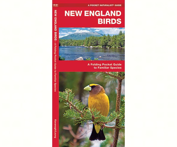 WATERFORD PRESS - New England Birds (Folding Pocket Guide) (WFP1583551721) 9781583551721