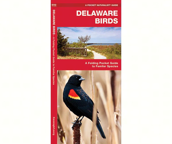 WATERFORD PRESS - Delaware Birds (Folding Pocket Guide) (WFP1583552223) 9781583552223