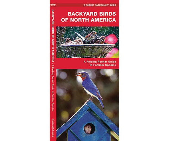 WATERFORD PRESS - Backyard Birds of North America (Folding Pocket Guide) (WFP1583554647) 884682009274