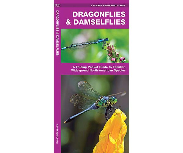 WATERFORD PRESS - Dragonflies and Damselflies (Folding Pocket Guide) (WFP1583554753) 884682007973