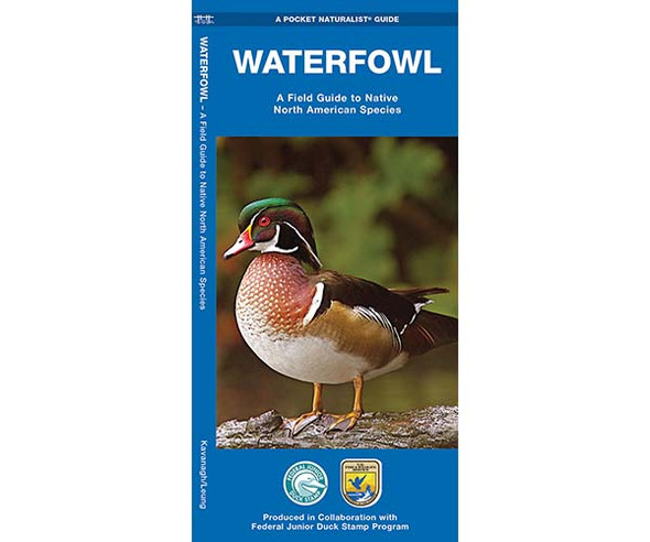 WATERFORD PRESS - Waterfowl (Folding Pocket Guide) (WFP1583556382) 884682008833