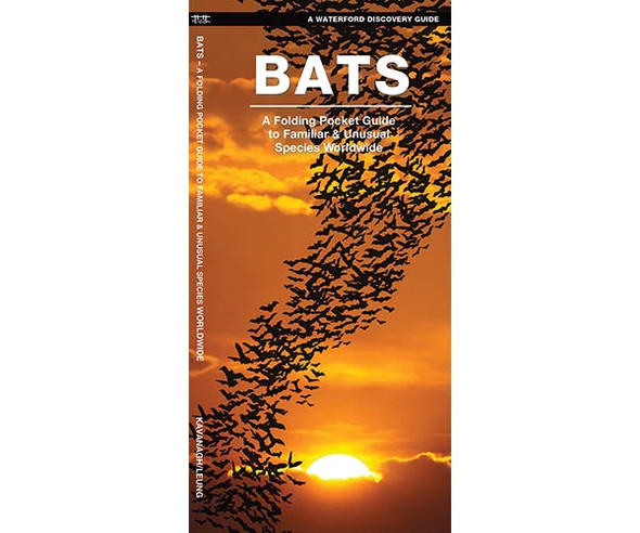 WATERFORD PRESS - Bats (Folding Pocket Guide) (WFP1620051856) 884682007829