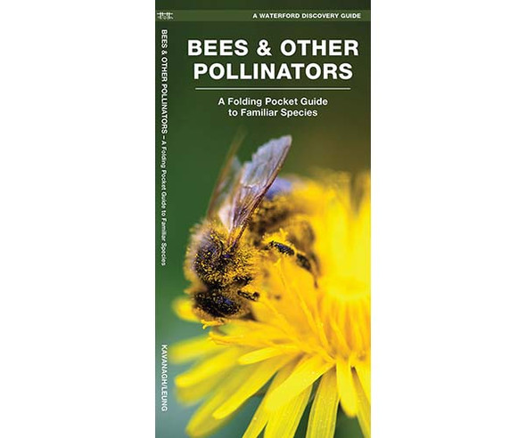 WATERFORD PRESS - Bees and Other Pollinators (Folding Pocket Guide) (WFP1620051870) 884682007836