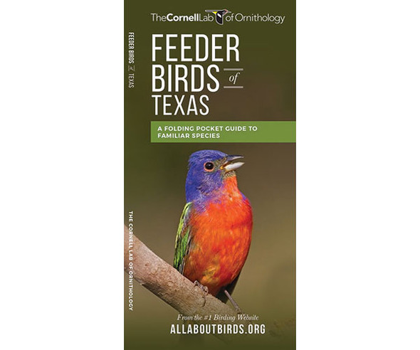 WATERFORD PRESS - Feeder Birds of Texas (Pocket Guide) (WFP1620052204) 884682012045