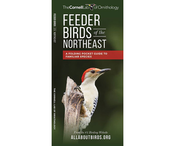 WATERFORD PRESS - Feeder Birds of the Northeast US (Pocket Guide) (WFP1620052228) 884682012069