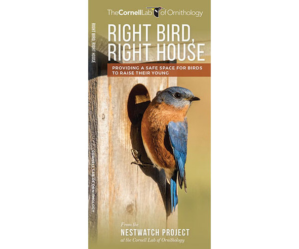 WATERFORD PRESS - Right Bird, Right House (Pocket Guide) (WFP1620052273) 884682012137