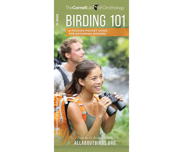 WATERFORD PRESS - Birding 101 (Pocket Guide) (WFP1620052297) 884682012014