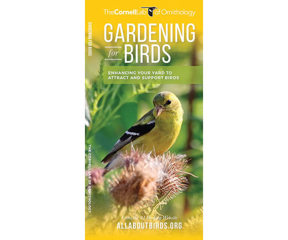 WATERFORD PRESS - Gardening for Birds (Pocket Guide) (WFP1620052365) 884682012106