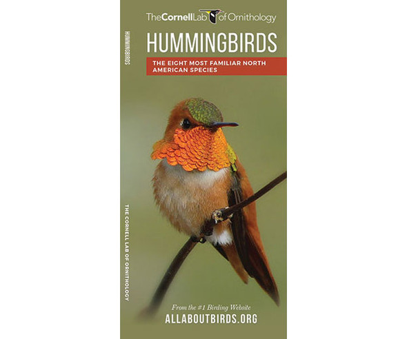 WATERFORD PRESS - Hummingbirds (Pocket Guide) (WFP1620052419) 884682012113