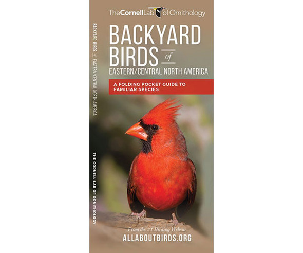 WATERFORD PRESS - Backyard Birds - East/Ctrl N.A (Pocket Guide) (WFP1620052426) 884682011987