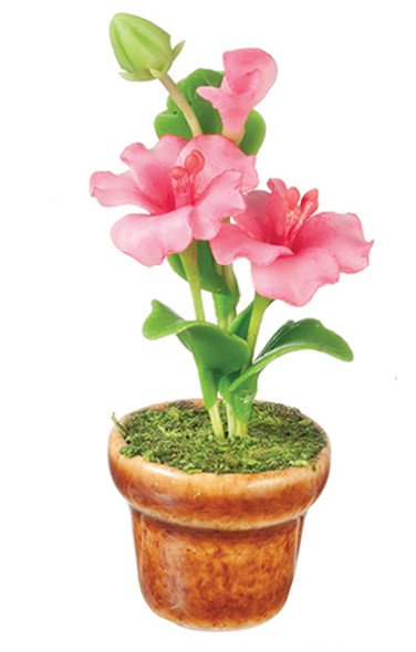 OakridgeStores.com | AZTEC - Hibiscus Pink - Dollhouse Miniature (G7418)