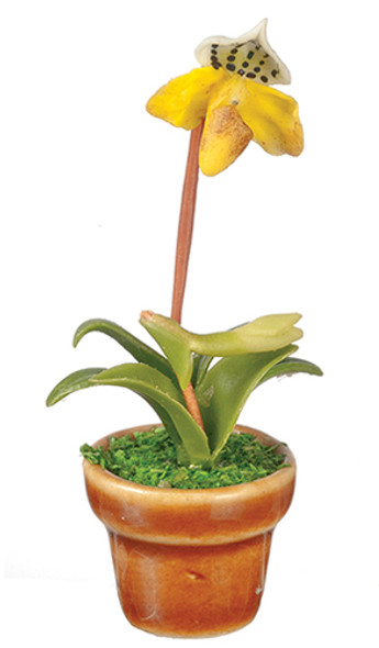 OakridgeStores.com | AZTEC - Paphiopedilum Orchid Yellow - Dollhouse Miniature (G7427)