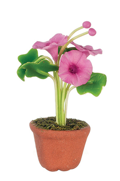 OakridgeStores.com | AZTEC - Fuchsia Morning Glories in Pot - Dollhouse Miniature (G7455) 717425774552