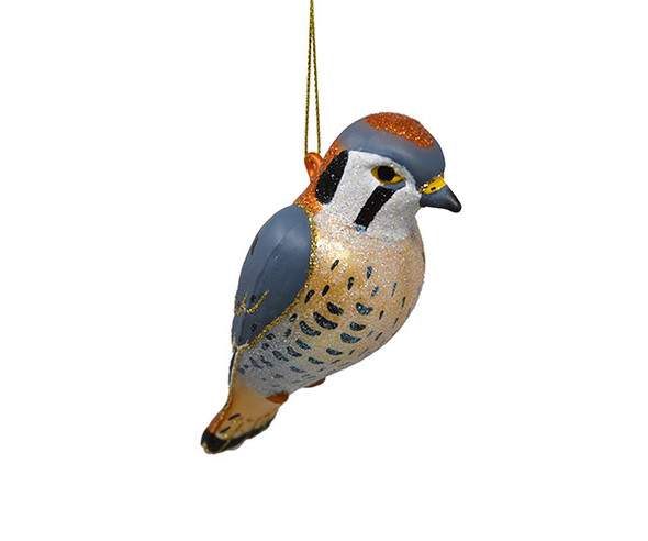 OakridgeStores.com | Cobane Studio LLC - American Kestrel (COBANED443) 874504002941