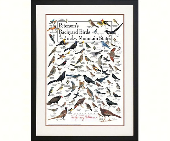OakridgeStores.com | EARTH SKY + WATER - Peterson's Backyard Birds of the Rocky Mountains Poster (LEWERSBBRPT133) 740620903953
