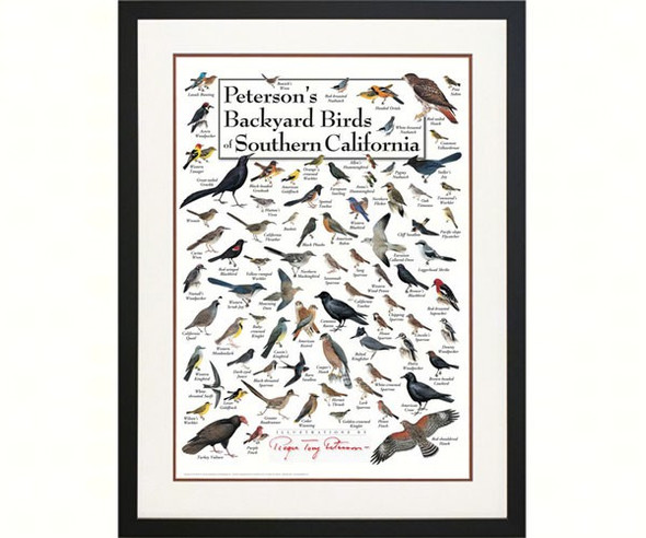 OakridgeStores.com | EARTH SKY + WATER - Peterson's Backyard Birds of Southern California Poster (LEWERSBSCPT131) 740620903939