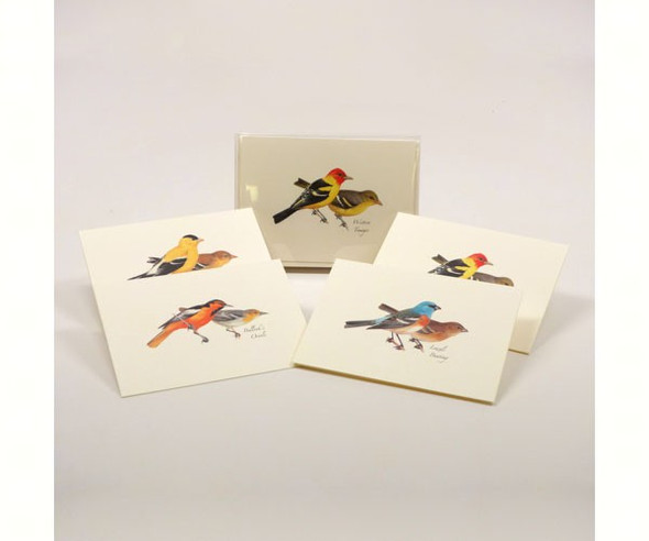 OakridgeStores.com | EARTH SKY + WATER - Peterson Western Birds Assortment (LEWERSNC108) 740620904493