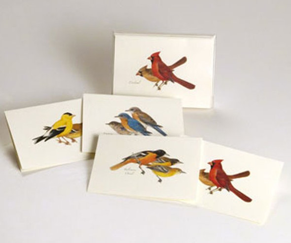 OakridgeStores.com | EARTH SKY + WATER - Peterson Bird Notecard Assortment (2 each of 4 styles) (LEWERSNC11) 740670900957