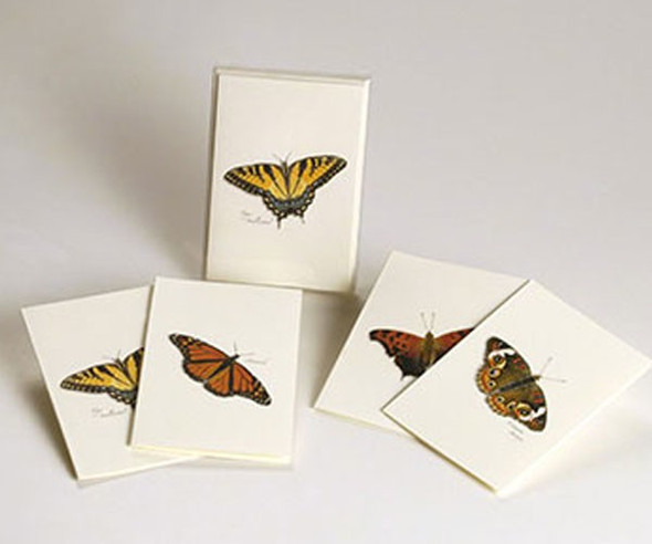 OakridgeStores.com | EARTH SKY + WATER - Butterfly Notecard Assortment (2 each of 4 styles) (LEWERSNC14) 740670900988