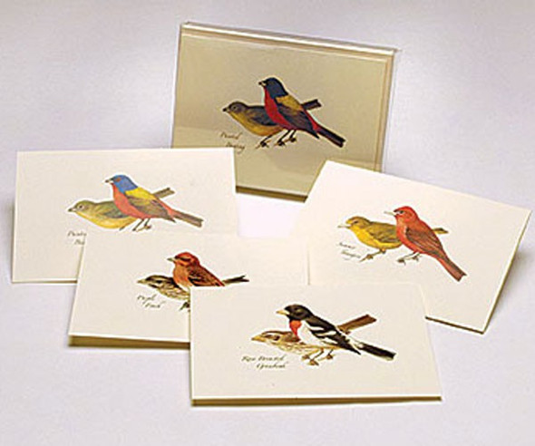 OakridgeStores.com | EARTH SKY + WATER - Peterson Bird Notecard Assortment II (2 each of 4 styles) (LEWERSNC17) 740620901201