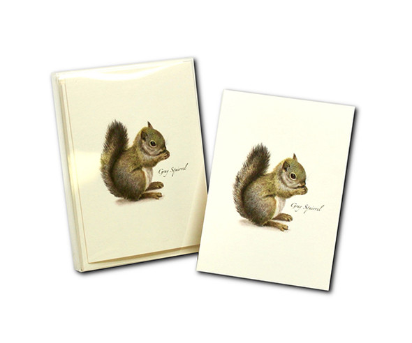 OakridgeStores.com | EARTH SKY + WATER - Gray Squirrel Boxed Notecards (LEWERSNC183) 740620905667