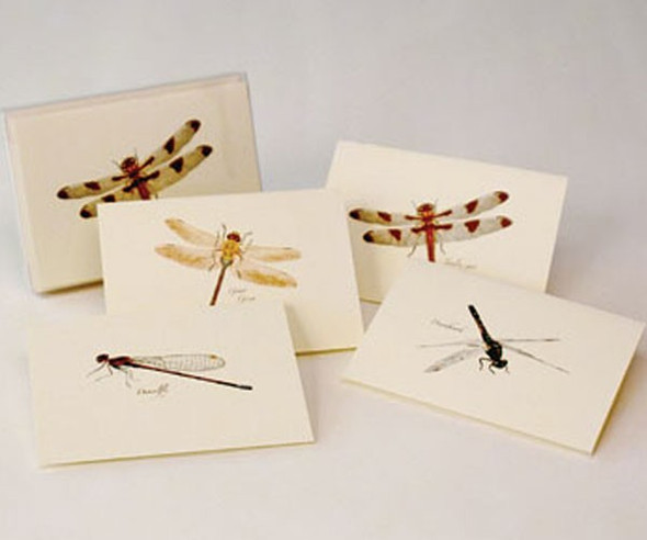 OakridgeStores.com | EARTH SKY + WATER - Dragonfly Notecard Assortment (2 each of 4 styles) (LEWERSNC25) 740620901591