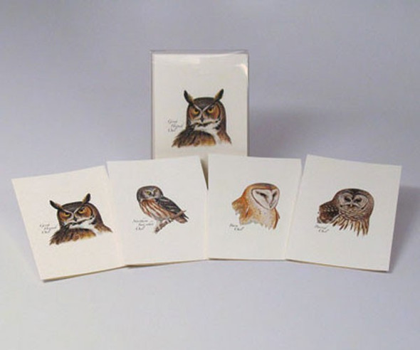 OakridgeStores.com | EARTH SKY + WATER - Peterson's Owls Notecard Assortment (2 each of 4 styles) (LEWERSNC41) 740620901911