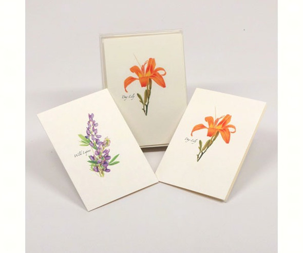 OakridgeStores.com | EARTH SKY + WATER - Wildflower Assortment Notecards (2 each of 4 styles) (LEWERSNC42) 740620901928