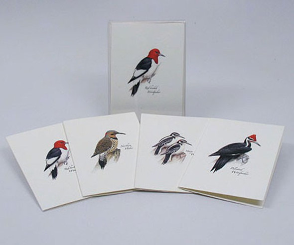 OakridgeStores.com | EARTH SKY + WATER - Peterson's Woodpecker Notecard Assortment (2 each of 4 styles) (LEWERSNC46) 740620902109