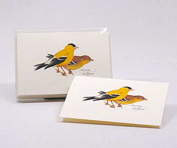 OakridgeStores.com | EARTH SKY + WATER - American Goldfinch Notecard Assortment (8 each of 1 style) (LEWERSNC64) 740620903465