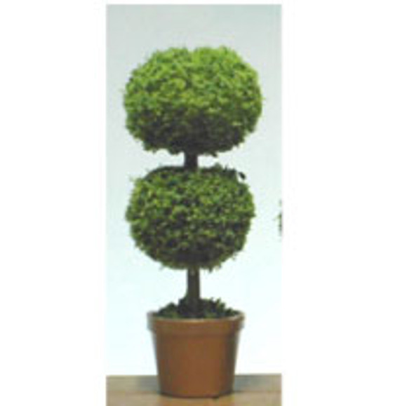 OakridgeStores.com | Model Builders Supply - Topiary Small Round - Dollhouse Miniature (TOP12B)