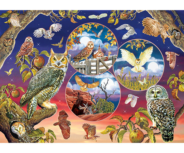 OakridgeStores.com | Outset Media Games - Owl Magic 1000 pc Puzzle (OM80220) 625012802208