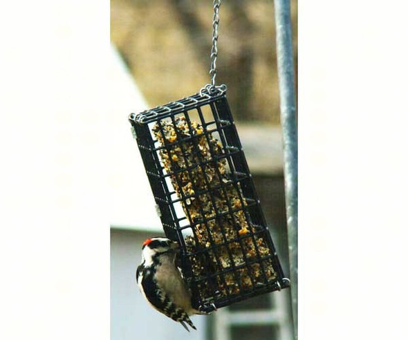 OakridgeStores.com | Pine Tree Farms - Wire Feeder for 16 oz Finch Cake (PTF1542) 748884015429