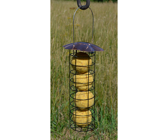 OakridgeStores.com | Songbird Essentials - Petite Copper Suet Ball Feeder (SE124) 645194779006