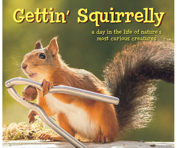 OakridgeStores.com | Willow Creek Press - Gettin' Squirrelly Book (WC48383) 709786053780