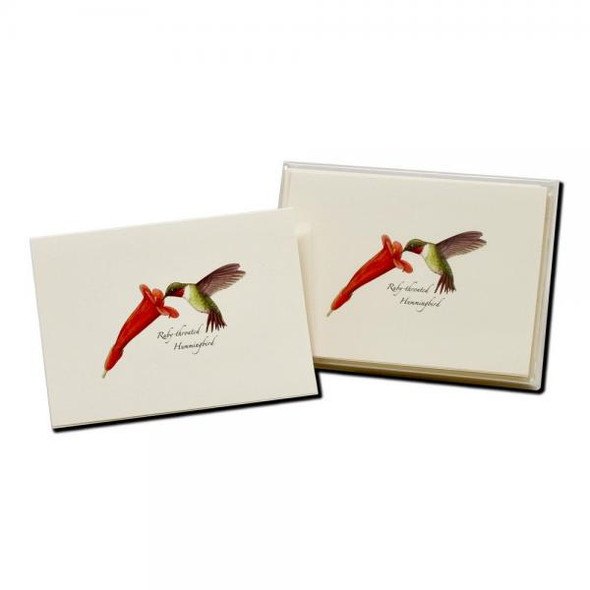 OakridgeStores.com | Earth Sky + Water (Lewers - Ruby-throated Hummingbird & Flowers - Boxed Note Cards w/ Envelopes (LEWERSNC202) 740620906060