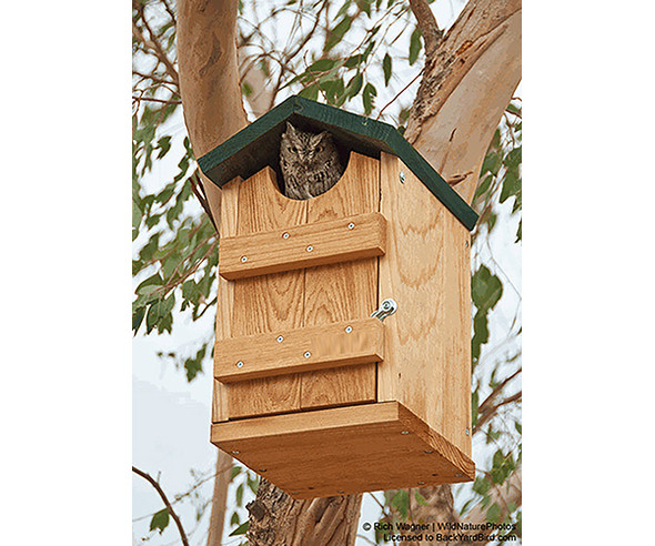 OakridgeStores.com | SE Looker - Screech Owl House (SE519) 645194005198