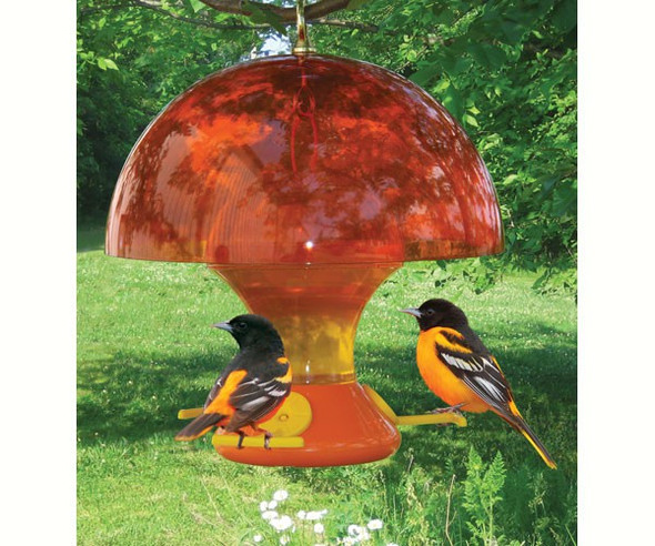 OakridgeStores.com | Songbird Essentials - Oriole Magnet Hanging Baffle Dome (for bird feeders) 12 inch Dia. (SESQ83O) 645194000834