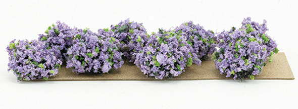 OakridgeStores.com | 3/4" Violet Border Plants - 8 pcs (CA0202)