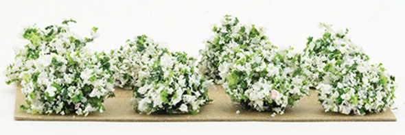 OakridgeStores.com | White 1/2" Border Plants - 8 pcs (CA0214)