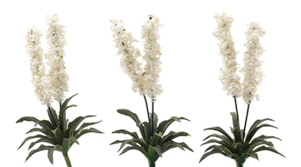 OakridgeStores.com | Yucca Plants, 3 Pieces (CA0360)