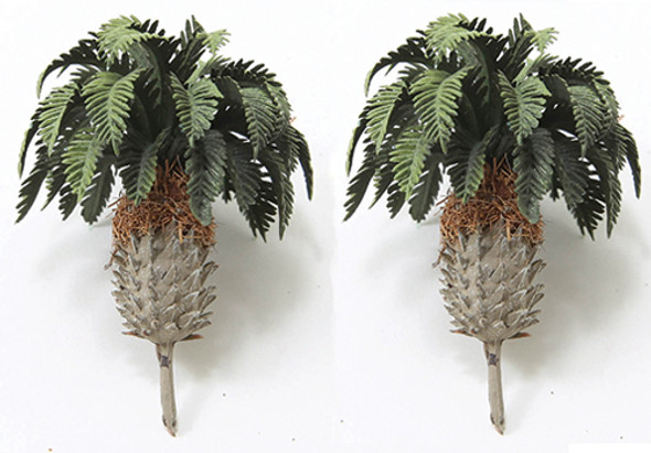 OakridgeStores.com | 2" Tall Sago Palm, 2 pieces (CA0550)